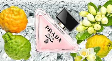 Prada Paradoxe Flower Lab Pop